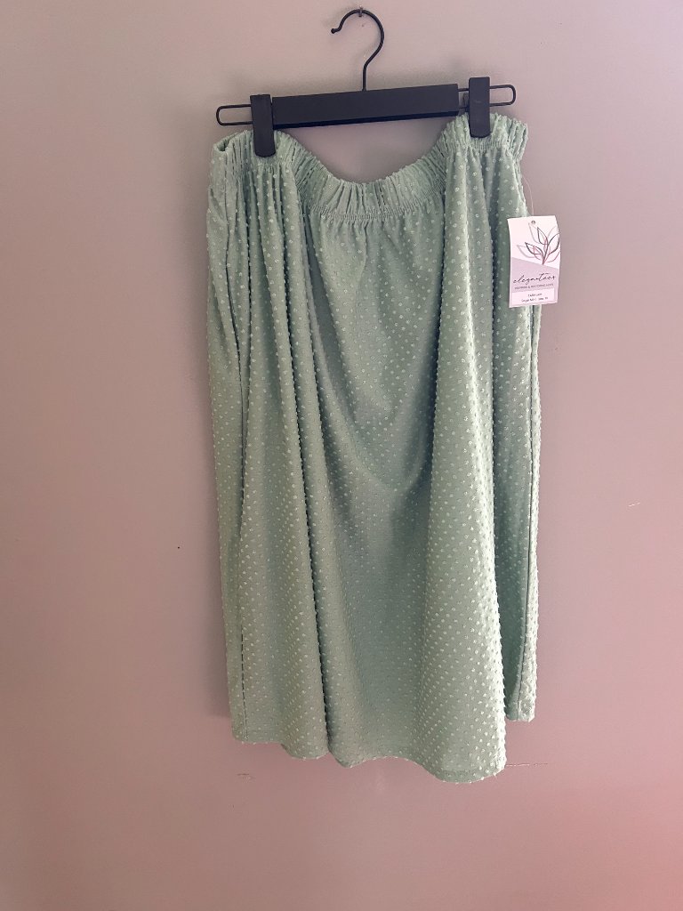 Elegantees Mint Green Midi Skirt Xl Nwt — image 4 of 4